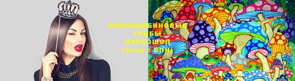 ГАЛЛЮЦИНОГЕННЫЕ ГРИБЫ Абаза