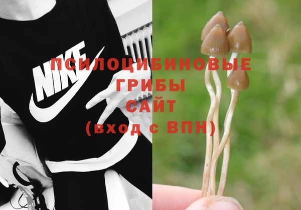не бодяженный Абдулино