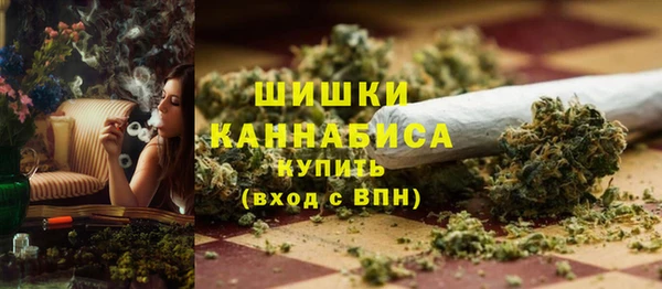 ГАЛЛЮЦИНОГЕННЫЕ ГРИБЫ Абаза