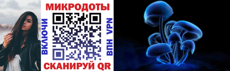 закладки  Нелидово  гидра как войти  Псилоцибиновые грибы Psilocybe 
